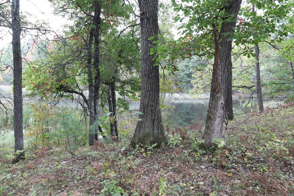 Land at XXX Norman's Landing Road, Webster, WI 54893 — photo 3