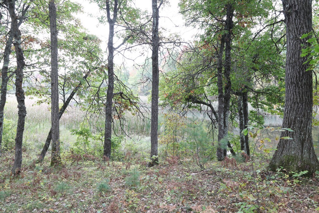 Land at XXX Norman's Landing Road, Webster, WI 54893 — photo 4