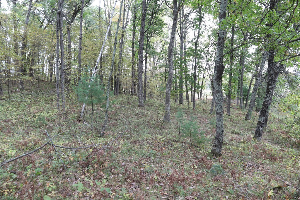 Land at XXX Norman's Landing Road, Webster, WI 54893 — photo 5