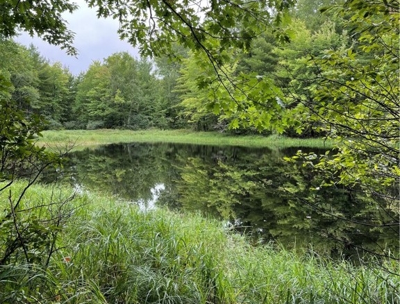 Residentialhouse for sale picture with an address of  12207 Railroad Road in Lake Nebagamon and a list price of 995000