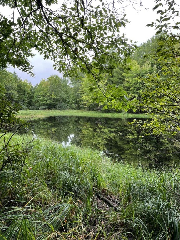 12207 Railroad Road Lake Nebagamon WI 54849