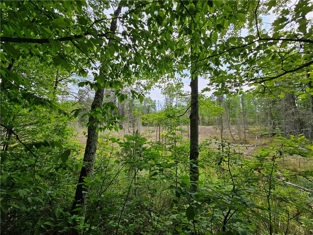 12989W-Atlas-Hayward-WI-54843-5