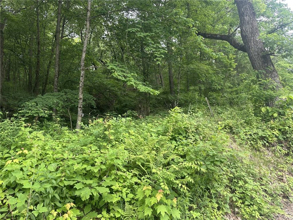 1404-Silver-Mine-Eau-Claire-WI-54703-6