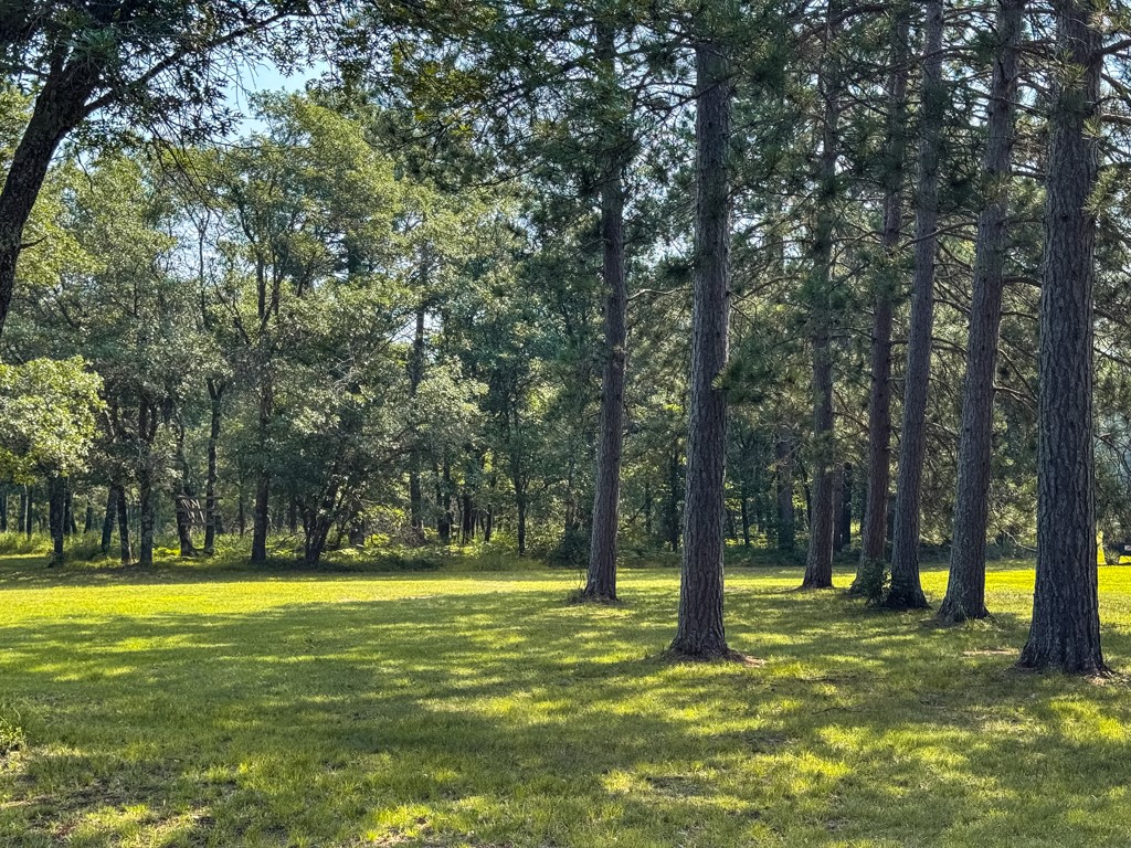 15075-Lost-Lake-Rd-Gordon-WI-54890-1