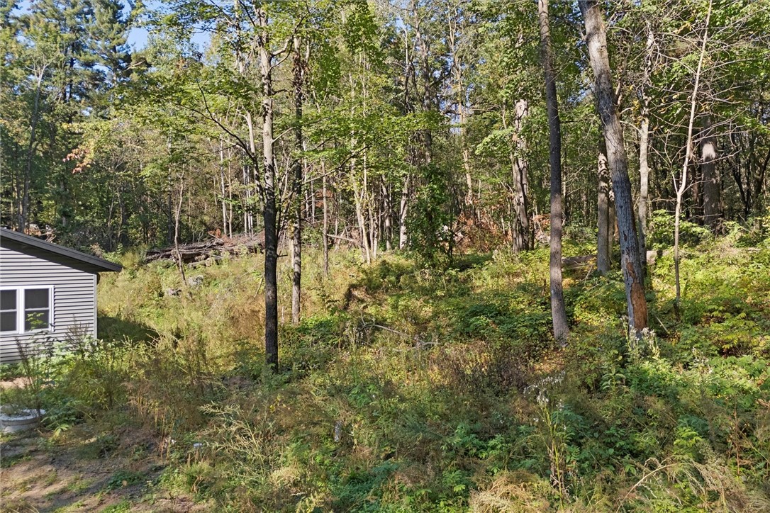 1956-16th-Cameron-WI-54822-5