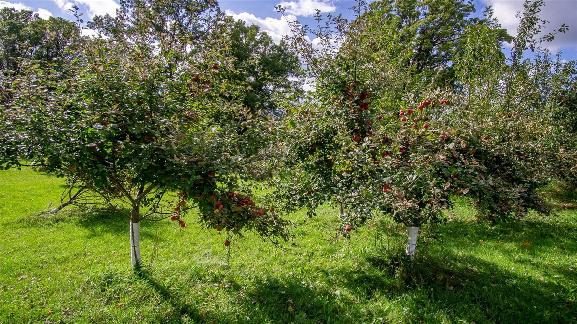 230-1st-Clear-Lake-WI-54005-8