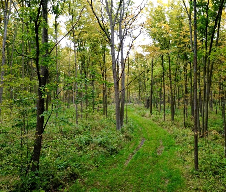 247125 Nehrbass Road  Athens WI 54411