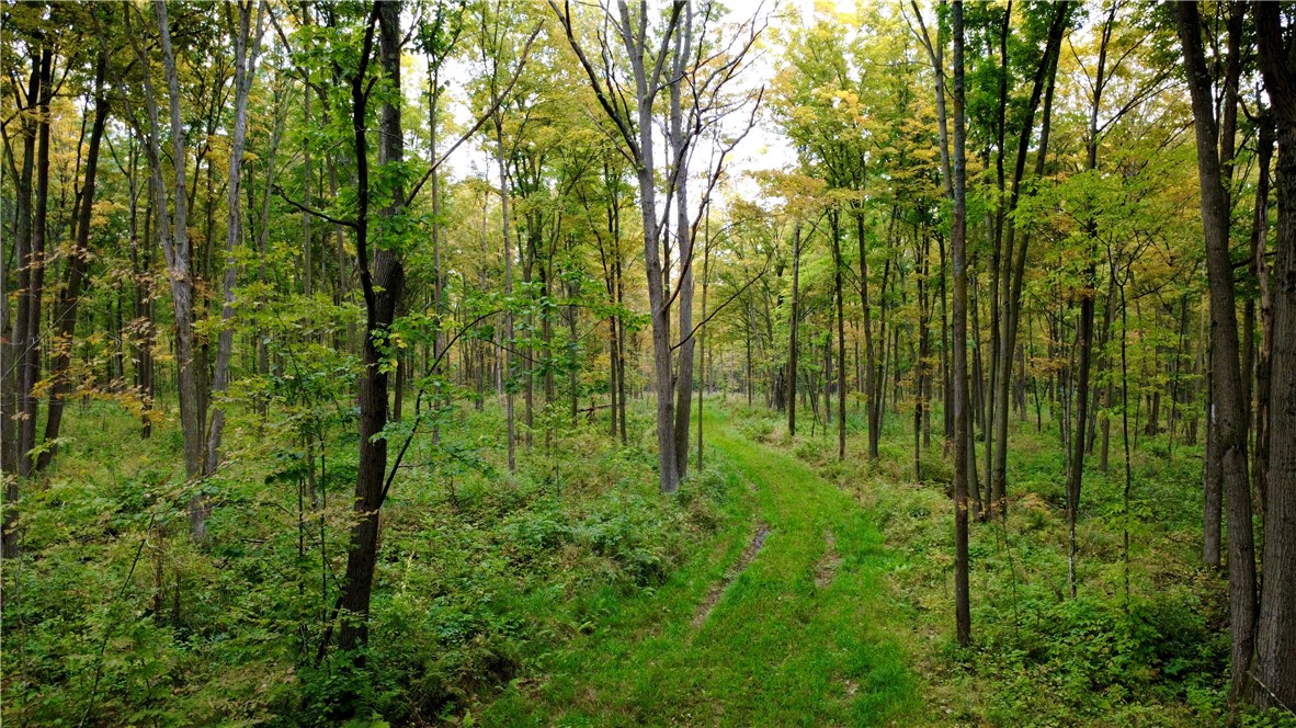 Residentialhouse for sale picture with an address of  247125 Nehrbass Road  in Athens and a list price of 2375000