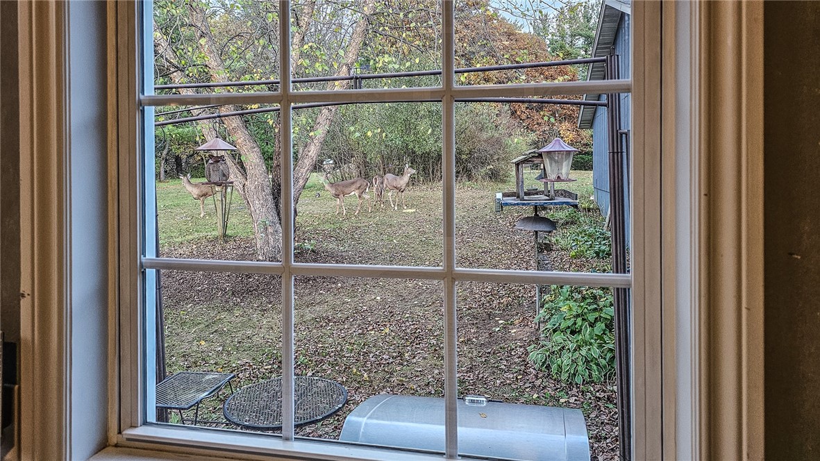 619-Rose-Black-River-Falls-WI-54615-4