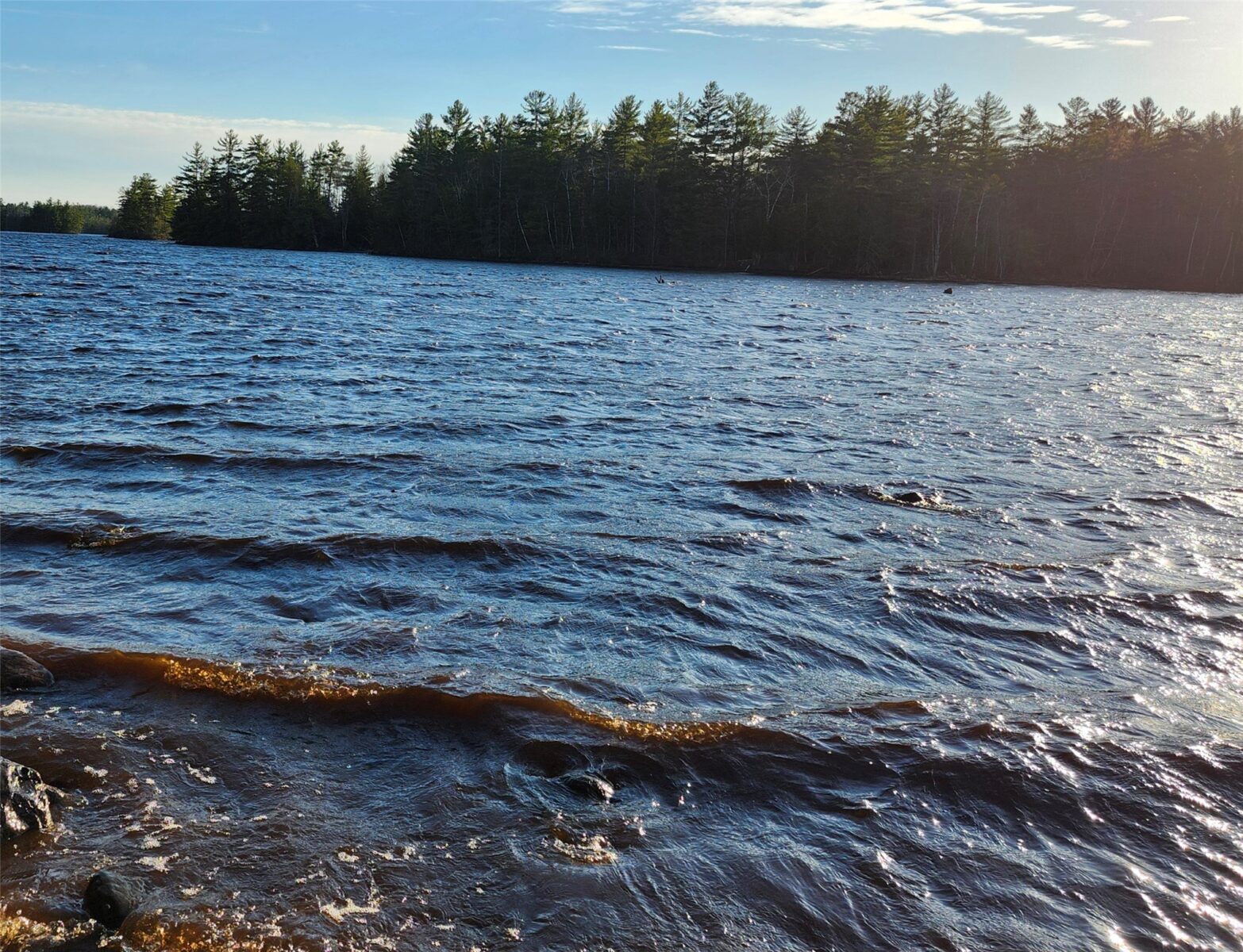 6856W Wolf Island Road, Hayward, WI — photo 23