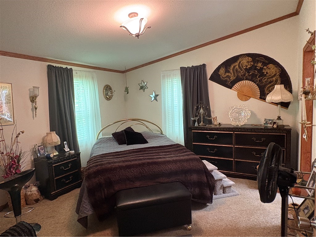 733-Old-Highway-54-Pittsville-WI-54466-1