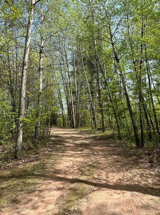 7431-Jordan-Buck-Danbury-WI-54830-5