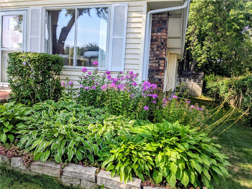 931-Roosevelt-River-Falls-WI-54022-6