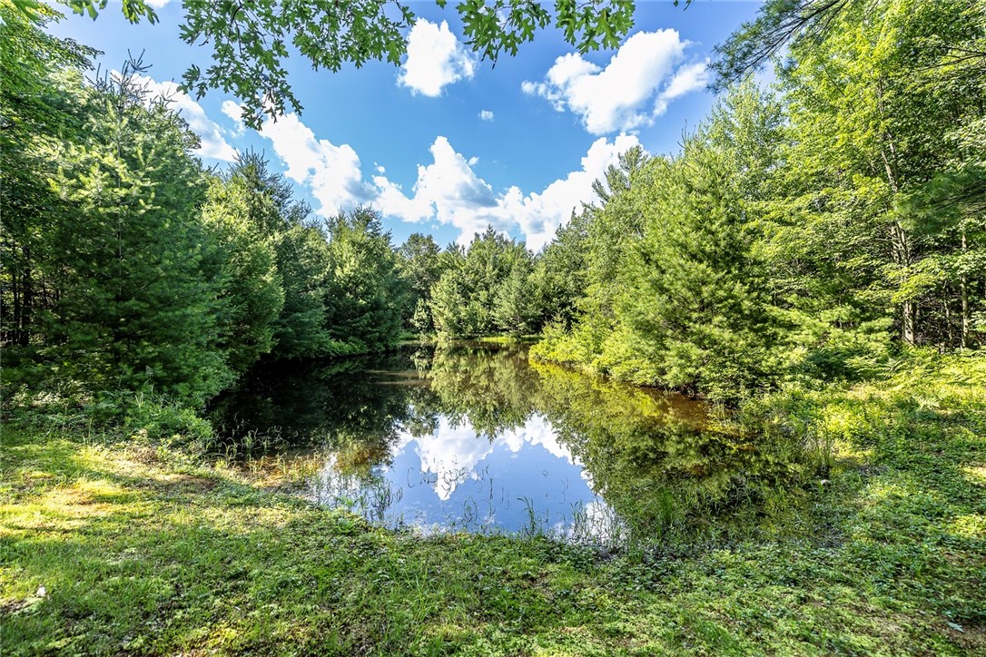 N1056 County Highway J  Neillsville WI 54456