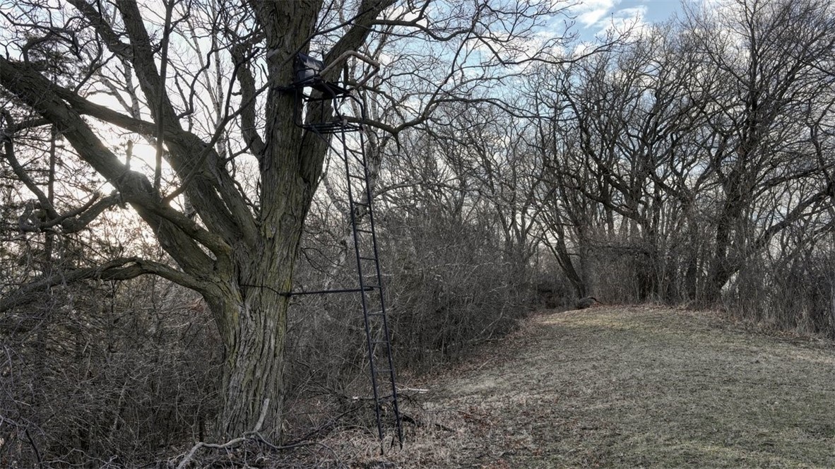 N30732-Square-Bluff-Blair-WI-54616-6