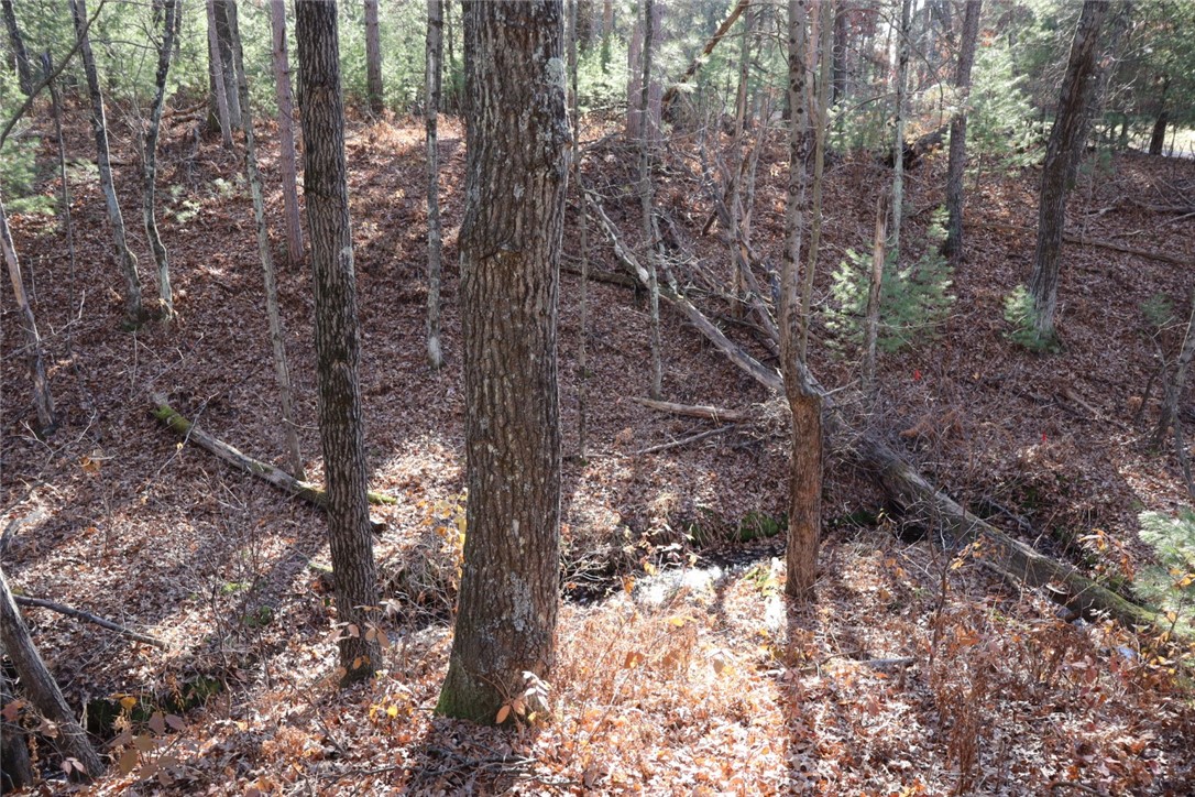 N8724-Lakeside-Willard-WI-54493-5