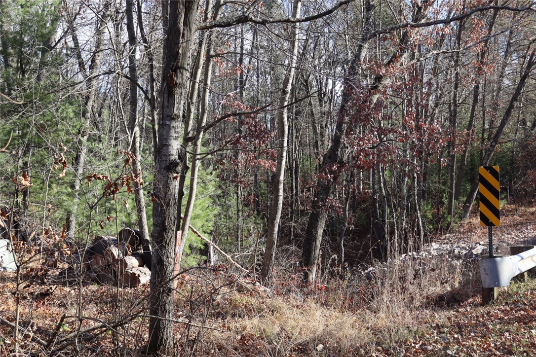 N8724-Lakeside-Willard-WI-54493-7