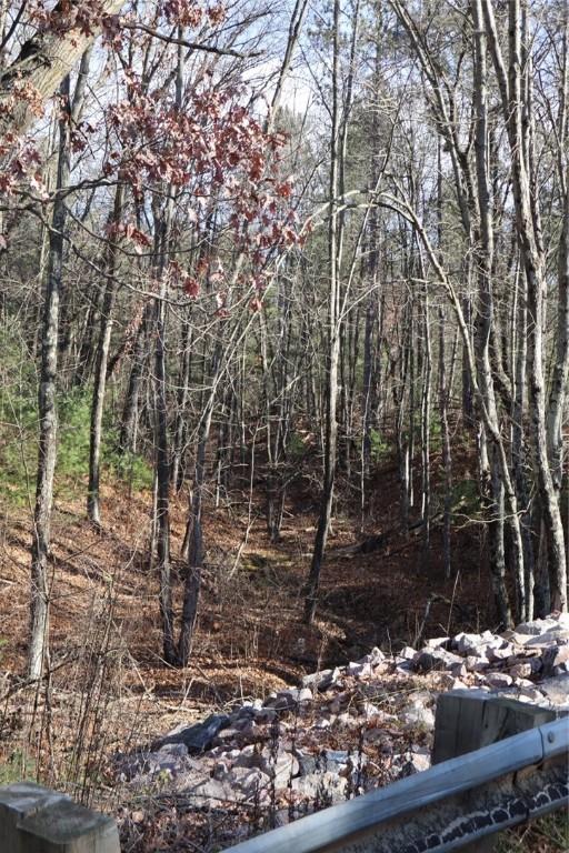 N8724-Lakeside-Willard-WI-54493-8