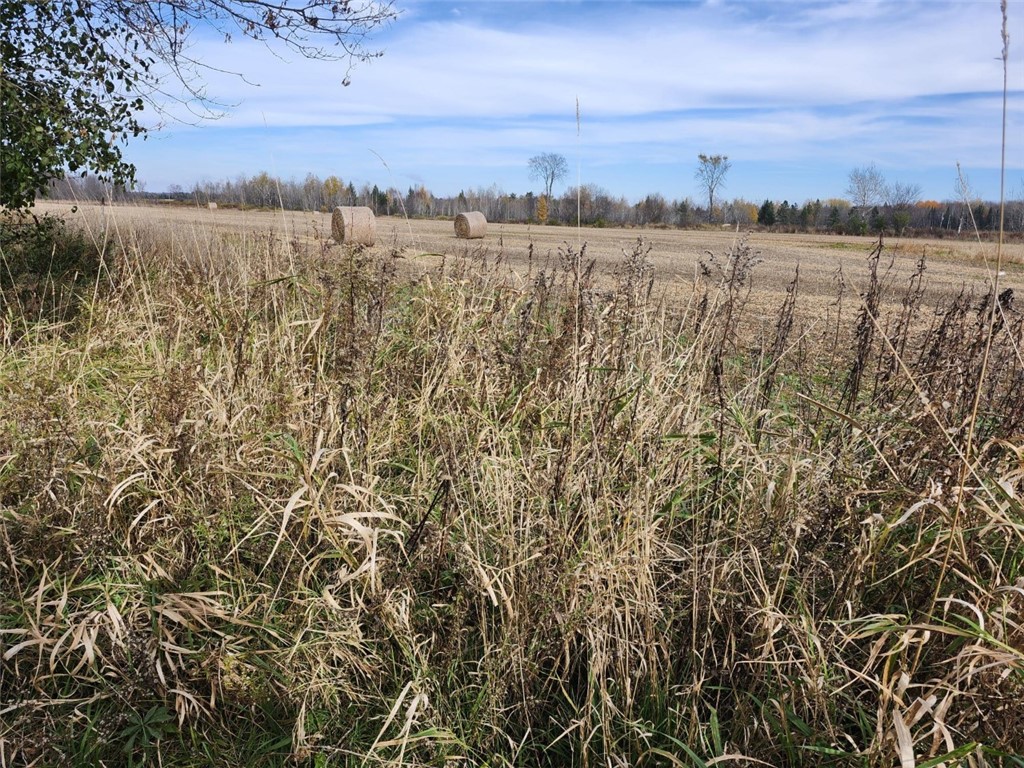 W1042-Cranberry-Hawkins-WI-54530-9