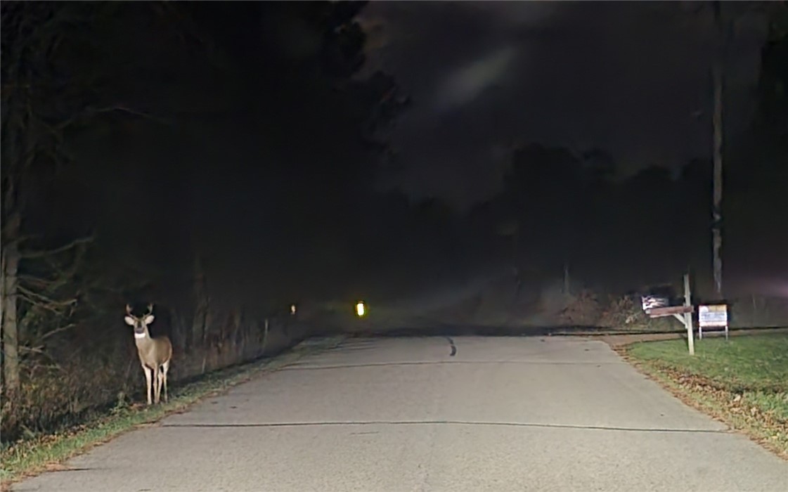 W11601-Sand-Merrillan-WI-54754-1