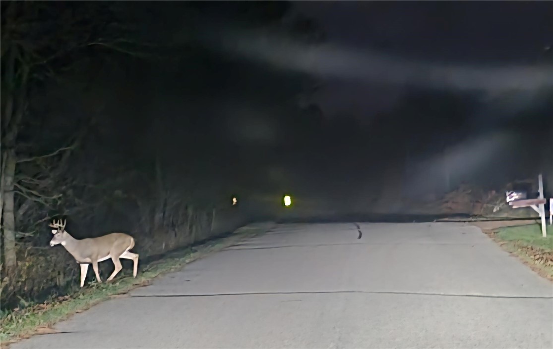 W11601 Sand Road Merrillan WI 54754