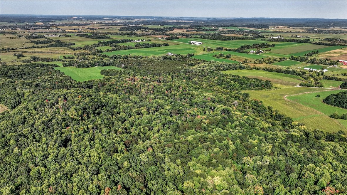 W15971-Cedar-Taylor-WI-54659-6