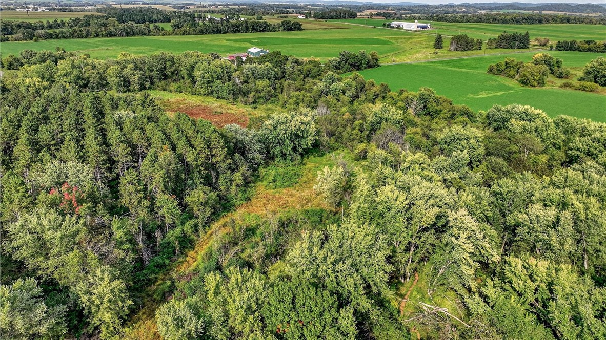 W15971-Cedar-Taylor-WI-54659-7