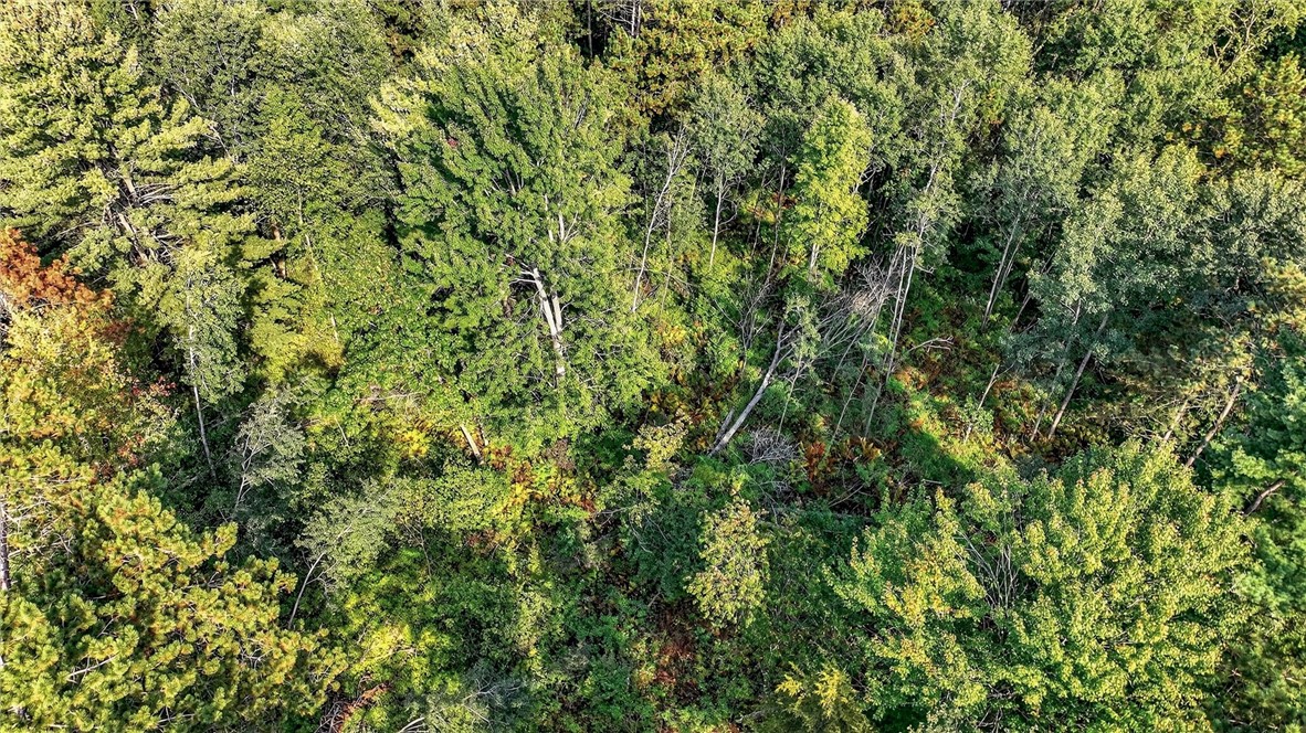 W15971-Cedar-Taylor-WI-54659-8