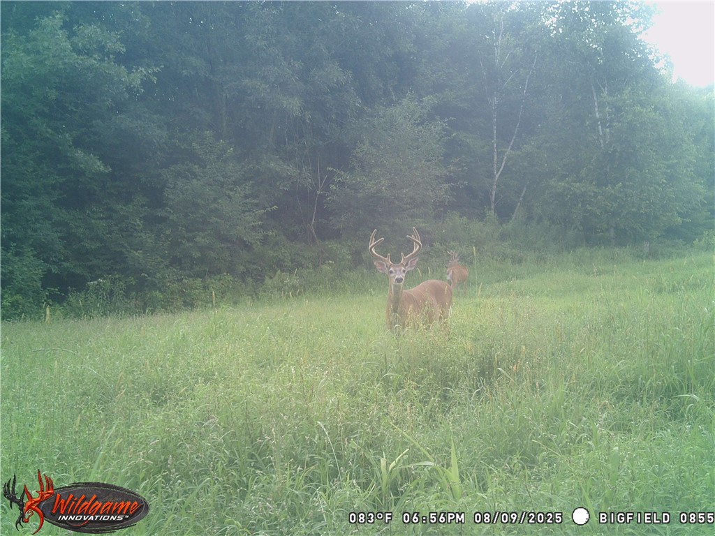 W6674-Poertner-Neillsville-WI-54456-8