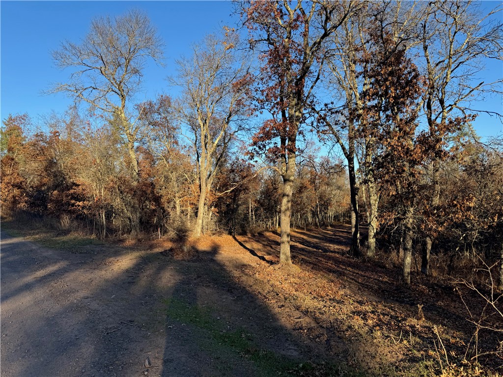 Land at Lot 1 Sandy Shores Drive, Minong, WI 54859 — photo 24