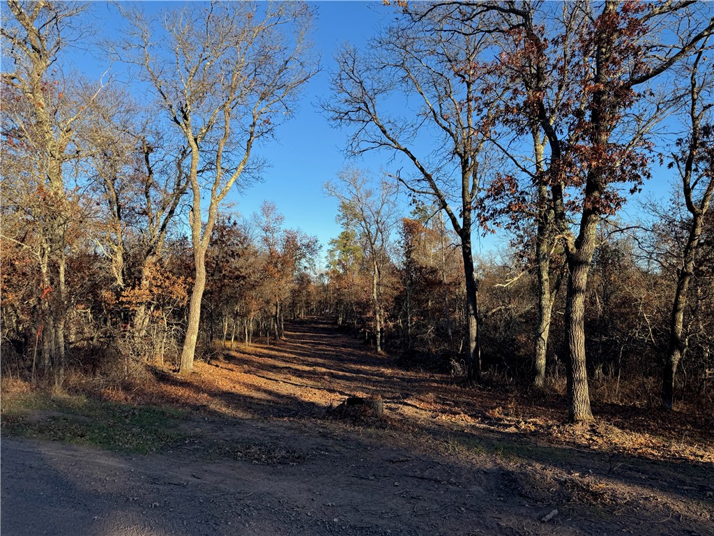 Land at Lot 1 Sandy Shores Drive, Minong, WI 54859 — photo 25