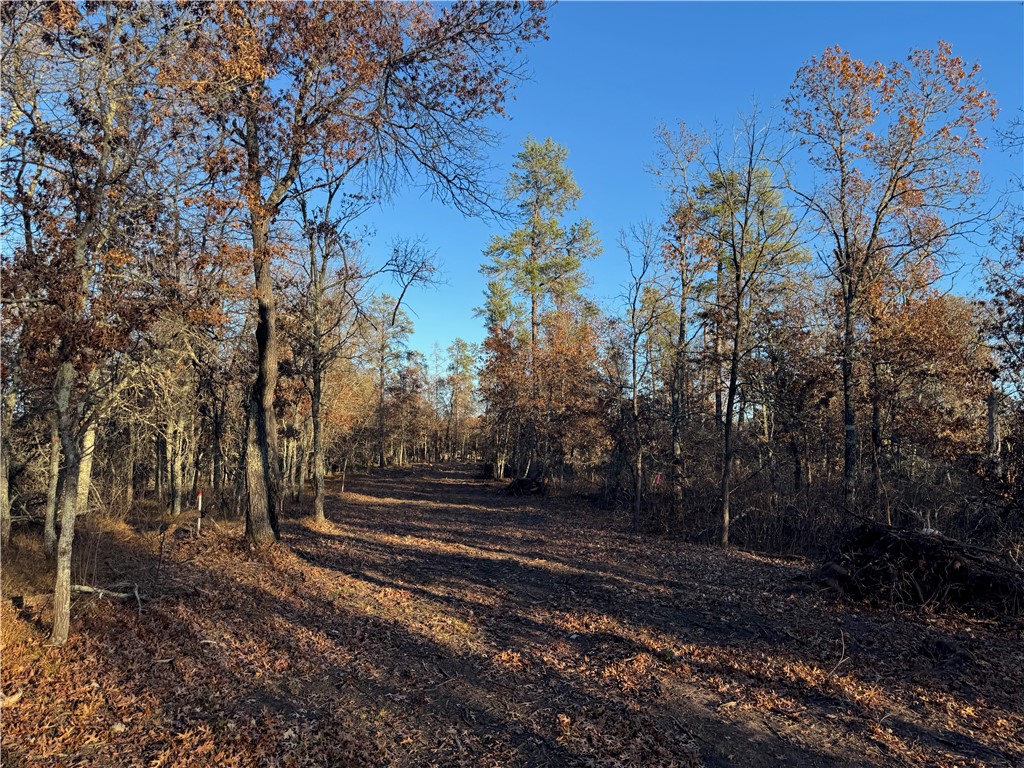 Land at Lot 1 Sandy Shores Drive, Minong, WI 54859 — photo 26