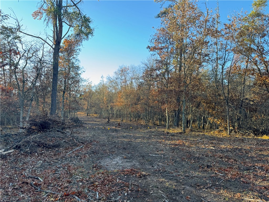 Land at Lot 1 Sandy Shores Drive, Minong, WI 54859 — photo 28