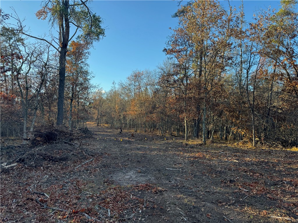 Land at Lot 1 Sandy Shores Drive, Minong, WI 54859 — photo 29