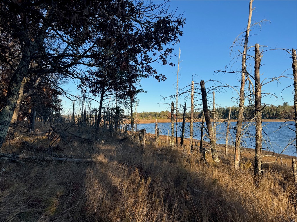 Land at Lot 1 Sandy Shores Drive, Minong, WI 54859 — photo 36