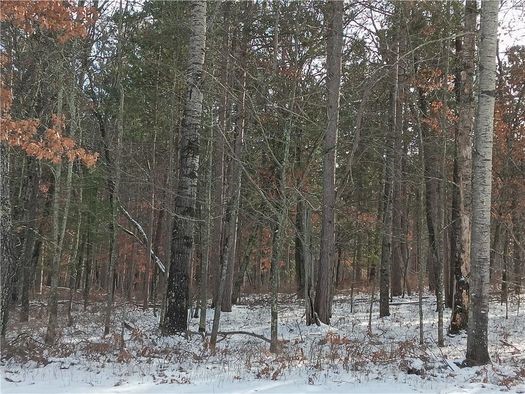 Land at Lot 19 Setting Sun Trail Way, Danbury, WI 54830 — photo 14