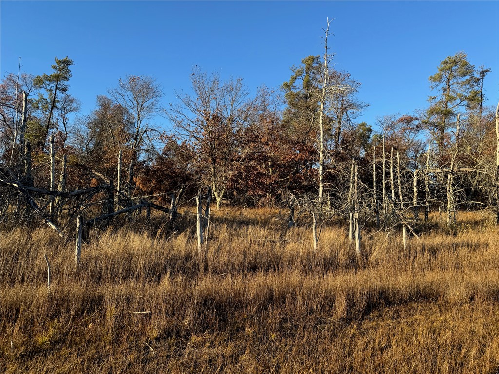 Land at Lot 2 Sandy Shores Drive, Minong, WI 54859 — photo 31