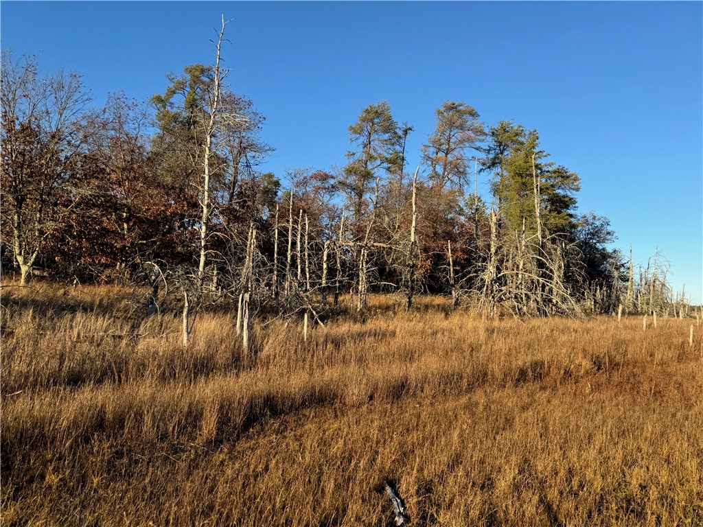 Land at Lot 2 Sandy Shores Drive, Minong, WI 54859 — photo 32