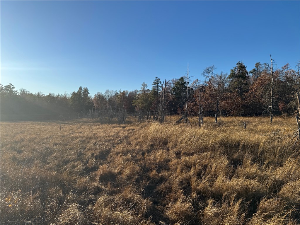 Land at Lot 2 Sandy Shores Drive, Minong, WI 54859 — photo 33
