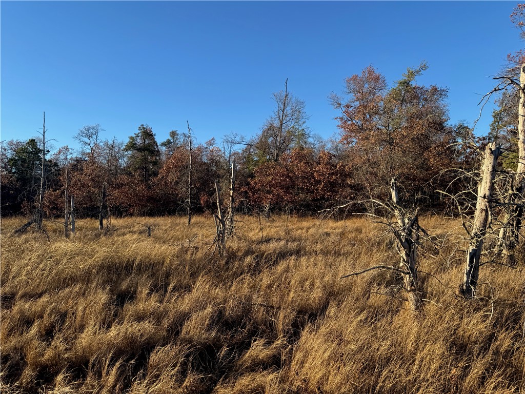 Land at Lot 2 Sandy Shores Drive, Minong, WI 54859 — photo 34