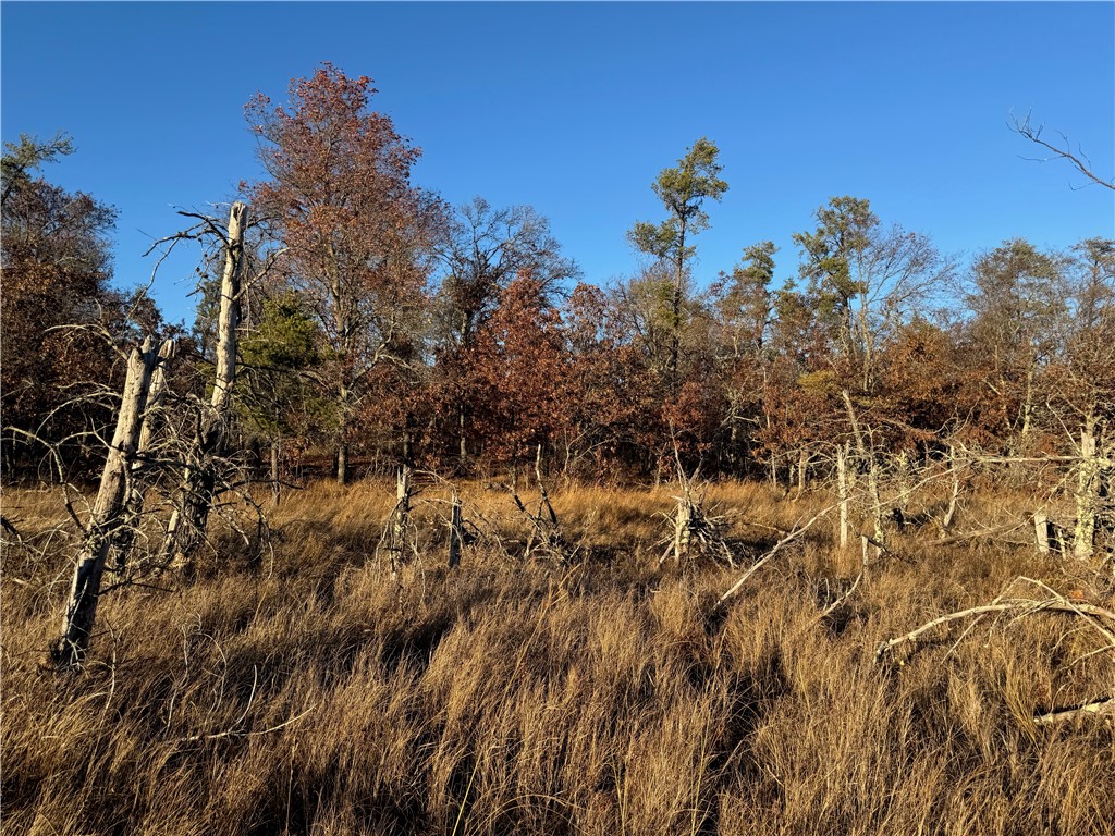 Land at Lot 2 Sandy Shores Drive, Minong, WI 54859 — photo 35