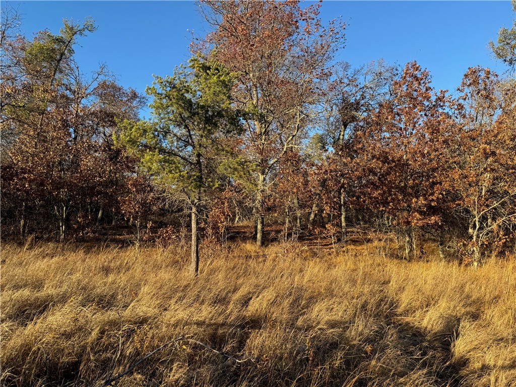 Land at Lot 2 Sandy Shores Drive, Minong, WI 54859 — photo 36