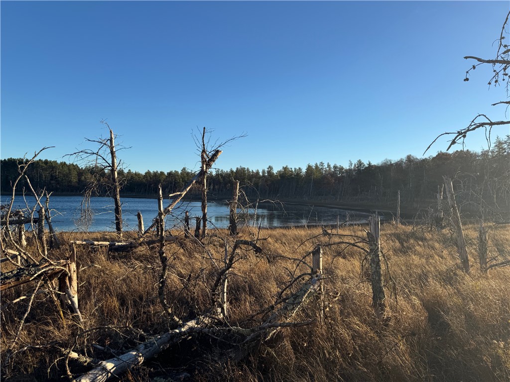 Land at Lot 2 Sandy Shores Drive, Minong, WI 54859 — photo 38