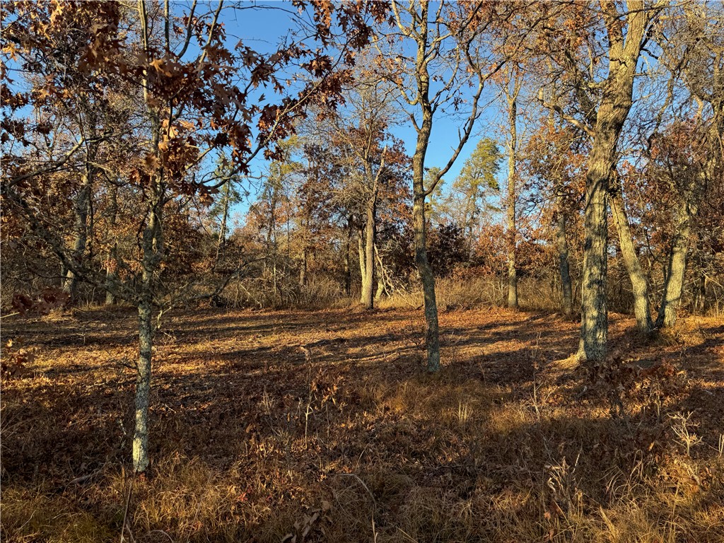 Land at Lot 2 Sandy Shores Drive, Minong, WI 54859 — photo 39