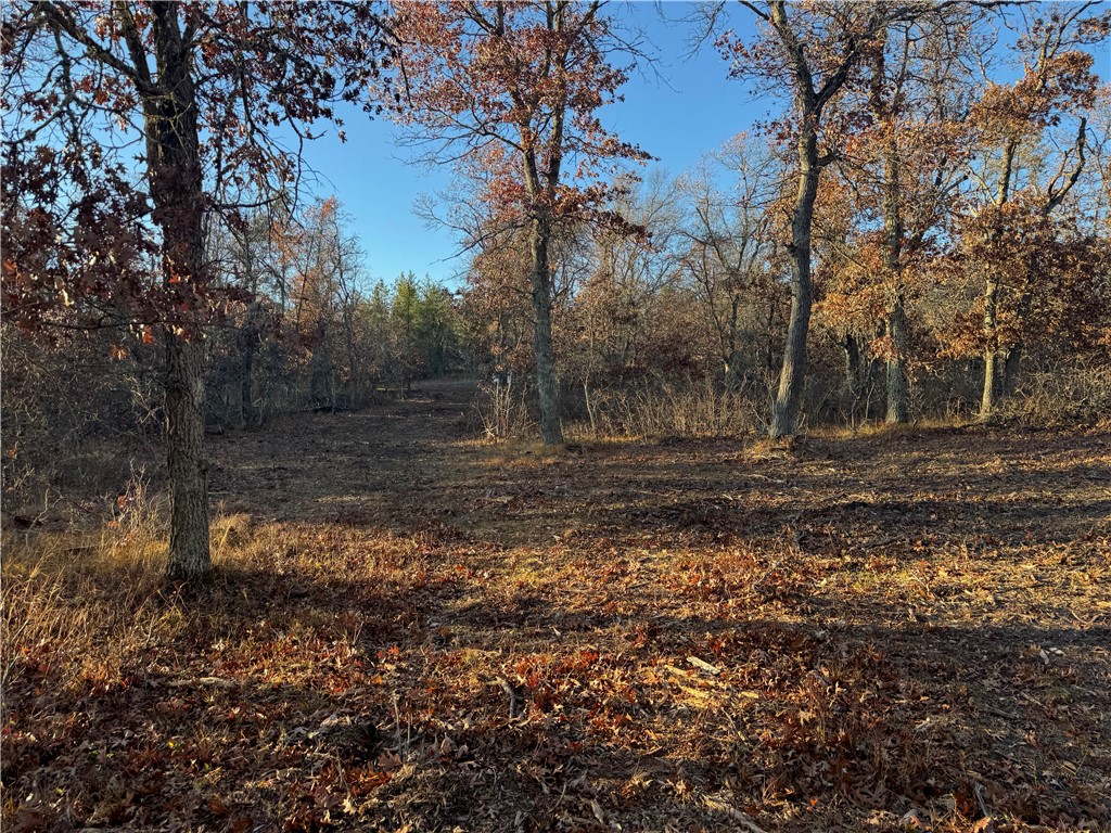Land at Lot 2 Sandy Shores Drive, Minong, WI 54859 — photo 40