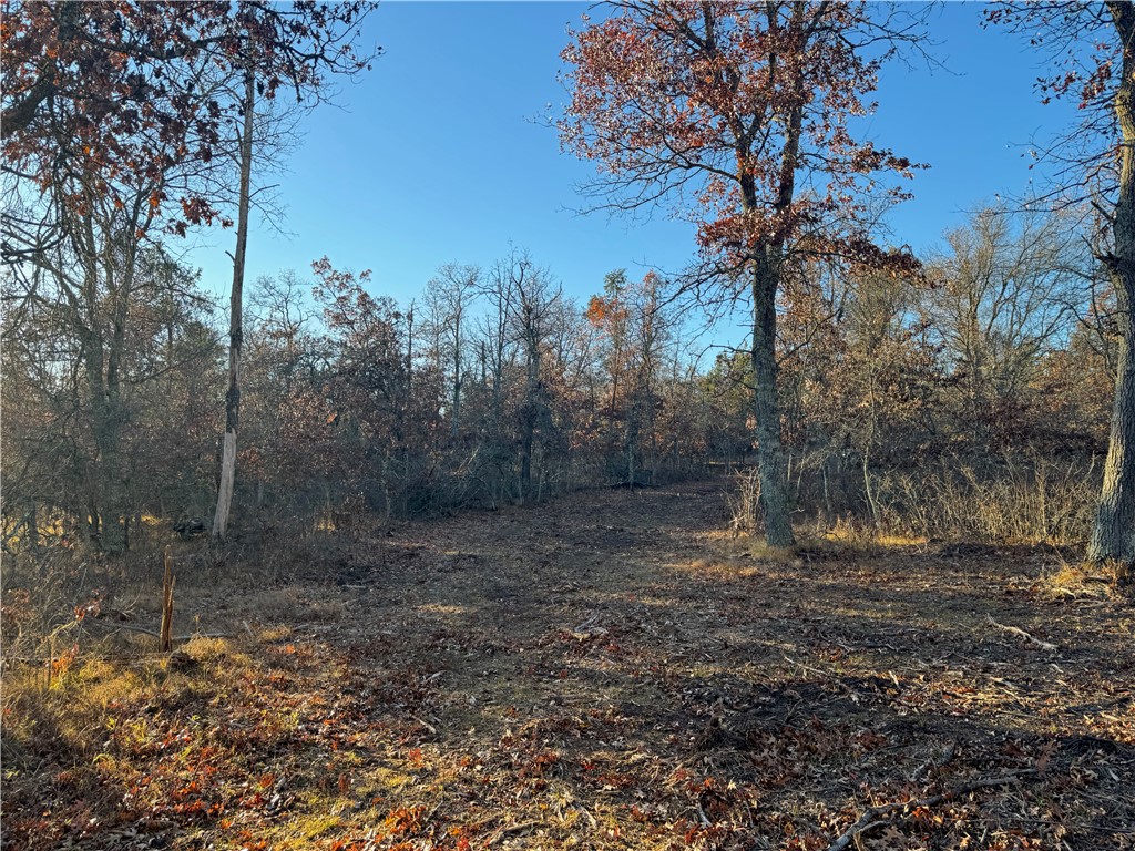 Land at Lot 2 Sandy Shores Drive, Minong, WI 54859 — photo 41