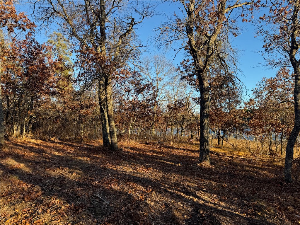 Land at Lot 2 Sandy Shores Drive, Minong, WI 54859 — photo 42