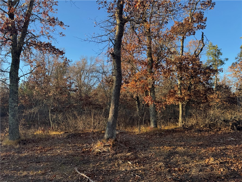 Land at Lot 2 Sandy Shores Drive, Minong, WI 54859 — photo 43