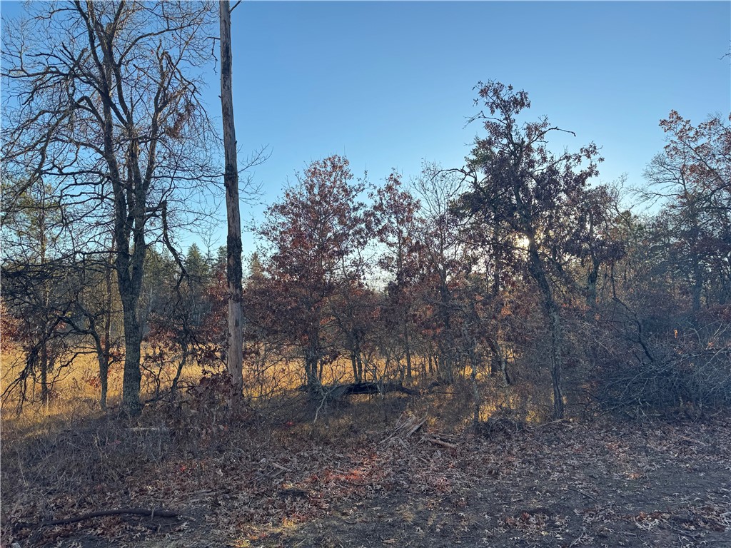 Land at Lot 2 Sandy Shores Drive, Minong, WI 54859 — photo 44