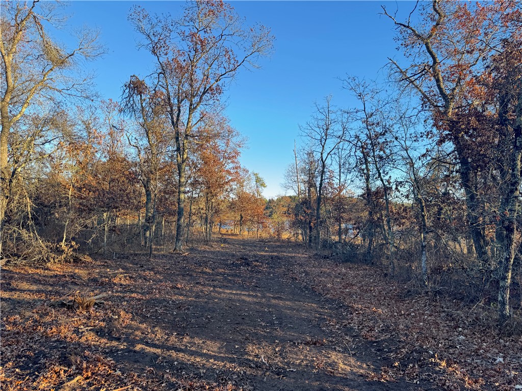 Land at Lot 2 Sandy Shores Drive, Minong, WI 54859 — photo 46